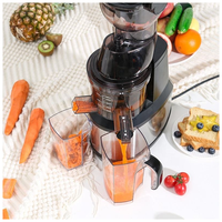 Custom 250W Roestvrij Staal Elektrische Hele Fruit Groente Koude Pers Slow Extractor Juicer Commerciële Sinaasappelpers Machine