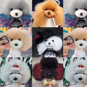 Cabeza de Maniquí Realista para Prácticas de Peluquería Canina, Modelo de Perro Teddy para <span class=keywords><strong>Corte</strong></span>, Peinado, Recorte, Entrenamiento, Enseñanza en Salón - Product Image 4