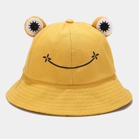 Chapeau de pêcheur avec motif de grenouille de dessin animé mignon, chapeau de visière en coton pour l'extérieur, pour étudiants, couples, couleurs personnalisables et mode unisexe