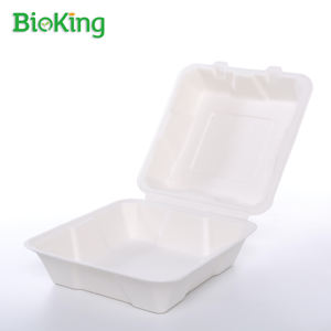 BioKing piring bulat mangkuk kualitas baik disesuaikan Bagasse Logo kustom dapat diterima sekali pakai wadah makanan kotak DDP Amerika/Amerika - Product Image 5