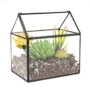 OEM All Types Handmade <b>Geometric</b> Glass <b>Terrarium</b> Kit Planter Green Plants Flowers Flowerpot Decoration Crafts <b>Terrarium</b> - Product Image 5