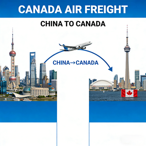 Livraison porte-à-porte Royaume-Uni, États-Unis, Canada par mer et par air : Dédouanement efficace, zéro détention, zéro retard - Product Image 3