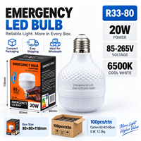 Ampoule LED d'urgence à commande tactile, batterie rechargeable, éclairage de secours fiable, 20W AC85V-265V IP54 6500K Lumière blanche froide