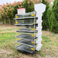 Cage d'Élevage Automatique Type H de Haute Qualité pour Oiseaux et Cailles