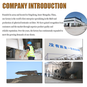 बेंजीजी कारखाने भर्ती एजेंटों के लिए उच्च गुणवत्ता वाले मजबूत डीओडोराइजेशन फ्लैशबल सोडियम बॉल आकार 99% बिल्ली कूड़े के आकार को 5 किलो - Product Image 6