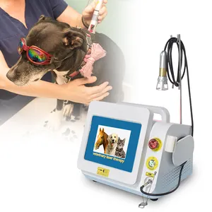 2024 attrezzatura di fisioterapia chirurgica veterinaria del laser della classe 4 avanzato per i cavalli