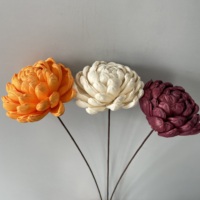 Fleur de Nénuphar en Bois Sola de Haute Qualité, 10 cm, Naturelle, Séchée, Écologique, Longue Durée, Décoration pour le Nouvel An Chinois