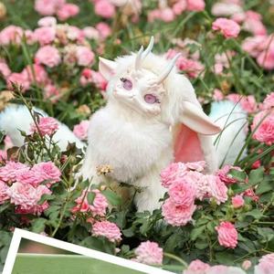 100% Original véritable Tutu Dragon fantaisie créature 400 peluche poupée aveugle boîtes Art jouets Collection modèle ornements enfant cadeaux - Product Image 2