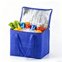 Grand sac isotherme pour pique-nique familial, sac thermique personnalisé avec logo pour événements en plein air