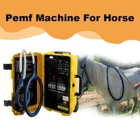 Appareil de thérapie PEMF pour chevaux pour améliorer la vitalité, augmenter la flexibilité et la mobilité des articulations et apaiser l'humeur