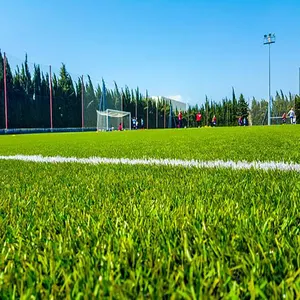 Newest Product Artificial Grass 50mm Qualified Football Carpets Synthetic Turf Grass Soccer Artificial Grass