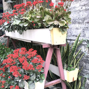 Microfibres de jardin en plastique Pvc, Irrigation latérale de pluie, plante hydroponique, bâche de croissance, sous-sol de culture - Product Image 6