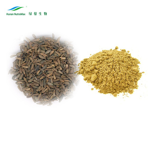 Chiết Xuất Từ Cây Chasteberry, Chiết Xuất Từ Cây Chaste, Vitex Agnus-Castus Straight Powder 5% Vitexin - Product Image 6