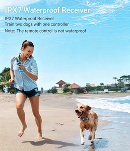 Dual <strong>Dog</strong> <strong>Training</strong> <strong>Collar</strong> 1000M Range One-Click No Shock Lock TFT Screen <strong>Collar</strong> with Rechargeable Boost Shock Auto Sleep 5 Modes - Product Image 6