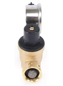 Régulateur de pression d'<span class=keywords><strong>eau</strong></span> en laiton avec filet et jauge de filtre à <span class=keywords><strong>eau</strong></span> - Product Image 3