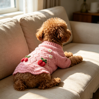 Vêtements pour animaux de compagnie à la mode, pull en tricot à pois pour chien, col roulé en dentelle, chaud pour l'hiver