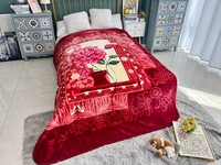Couverture en gros stock polyester luxe lit double pas cher coréen raschel vison polaire jeter couverture pour l'hiver