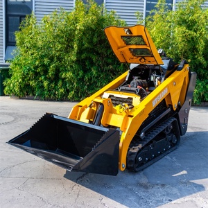 <span class=keywords><strong>Mini</strong></span>-chargeuse compacte diesel EPA EURO5, chargeuse de jardin sur chenilles/à roues - Product Image 1