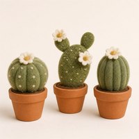 Ensemble d'ornements de bureau en cactus feutrés à la main, mini-succulentes en laine, cadeau d'anniversaire, décoration d'intérieur, vente en gros