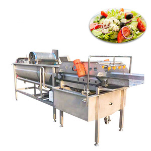 Máquina de Limpieza de Frutas y Verduras Totalmente Automática Tipo Turbina, Lavadora de Verduras de Hoja, Patatas y Tomates - Product Image 3