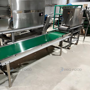 Equipo de línea de pelado de ajo de acero inoxidable completamente automático personalizable de alta calidad 1000 KG/H componente de núcleo de Motor Profood - Product Image 4