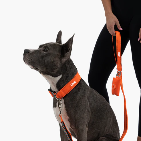 dog harness set luxury with bones