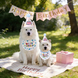 Conjuntos de Acessórios de Aniversário para Animais de Estimação, Luxuosos e Personalizados, com Babadores, Chapéus e Lenços, Bandanas Fofas - Product Image 6