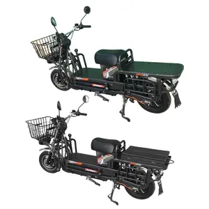 ZZW E Bicicleta elétrica entrega bicicleta entrega motocicleta motocross para entrega homem adulto motor elétrico ciclo