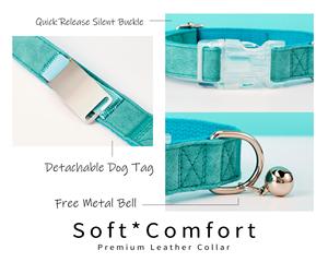 Ensemble collier et laisse personnalisés en cuir suédé pour animaux de compagnie, collier pour chat Aqua personnalisé avec étiquette nominative en métal gravée et clochette offerte - Product Image 5