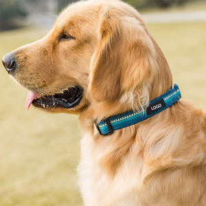Collar ajustable de entrenamiento para perros, correa de metal con hebilla personalizada a granel - Product Image 3