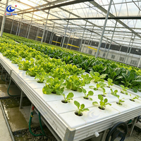 Table de culture hydroponique ChenChao avec cadre robuste et système d'irrigation par flux et reflux pour l'agriculture en serre à grande échelle