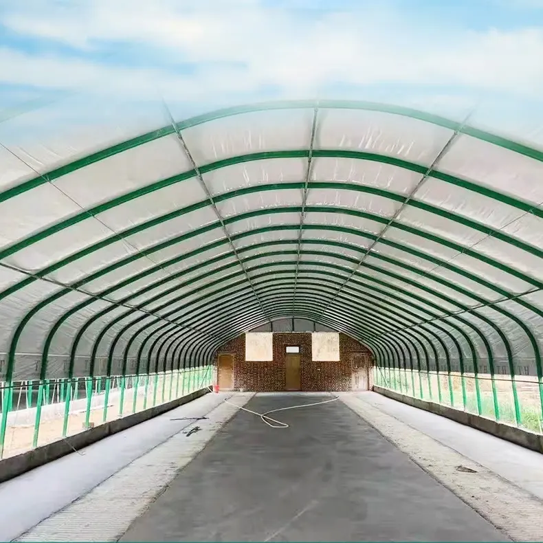 Tunnel en polythène à couverture unique, g, en métal, pour semis de légumes, armature pour serre de ferme de ferme de ferme
