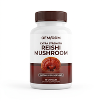 Capsules d'extrait de champignon Reishi OEM ODM sous marque privée – Soulagement du stress, soutien au sommeil, apaisement et relaxation pour adultes