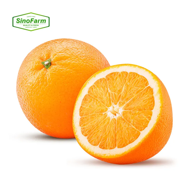 China Hot Selling 100% Natural Orange Fresh Orange Fruit Newest Crop Fresh Citrus Orange For Export