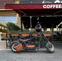 Scooter Eléctrico Inteligente Loyal con GPS, Motor sin Escobillas de 3000W, Plegable, Impermeable, Batería de Litio Recargable de 60V 20/30Ah