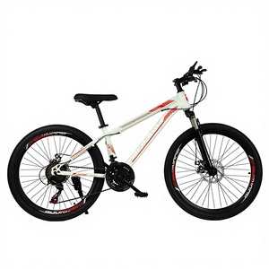 Bicicletta da <span class=keywords><strong>Montagna</strong></span> Personalizzata 24/26 Pollici con Freni a Disco, Velocità Variabile, Forcella Ammortizzata, Telaio Rigido per Uomo e <span class=keywords><strong>Donna</strong></span>, Veicolo Fuoristrada - Product Image 1