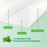 Patchs antidouleur mentholés CSI les plus vendus pour soulager durablement les douleurs dorsales, musculaires et articulaires – Gel antidouleur pour les articulations
