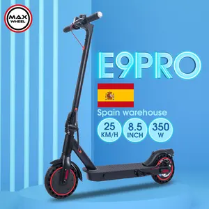 2024 NEW Wholesale 8.5Inch Scooter Electric Scooter Electric Bike