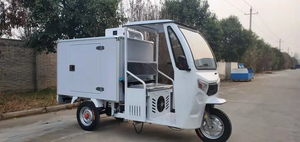 Điện thoại di động điện tủ Đông Ba Bánh Dành cho người lớn <span class=keywords><strong>3</strong></span> bánh xe chở hàng xe đạp <span class=keywords><strong>Ice</strong></span> <span class=keywords><strong>Cream</strong></span> xe đạp lạnh phòng lưu trữ <span class=keywords><strong>container</strong></span> cung cấp polyurethane - Product Image 3