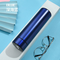 Thermos isolé en acier inoxydable avec contrôle de température Farenheit Tumbler Cup Led Display Reminder 500ml Smart Water Bottle