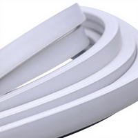 Bande LED néon flexible, barre lumineuse souple multicolore 12V IP20, extérieur, silicone pur, télécommande, intensité variable, couleur magique