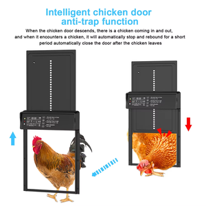 Porte automatique pour poulets à énergie solaire moderne, recharge USB, écologique, 4 modes, minuterie, capteur de lumière, construction en alliage d'aluminium - Product Image 6