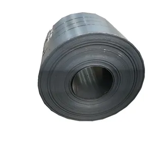 Factory Directly Sale ASTM 1020 Ss400 Q235 Q345 St37-2 Hot Rolled Cold Rolled Mild Carbon Steel Coil