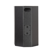Haut-parleur passif PA de 10 pouces 400W en contreplaqué de bouleau pour scène et moniteur de scène, fabriqué par un fabricant OEM