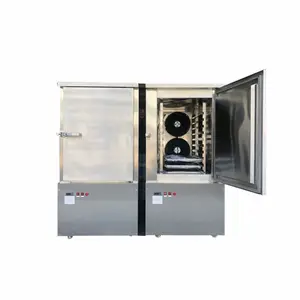 Mini Instant Blast Freezer 6 Trays Refrigerator Plate Instant Fast Freezing Machine