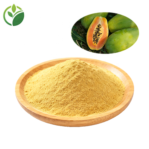 Nhà Máy Giá 100% Tinh Khiết Đu Đủ Bột Đu Đủ Bột Trái Cây Đu Đủ Nước Trái Cây Bột Đông Khô Đu Đủ Bột - Product Image 2