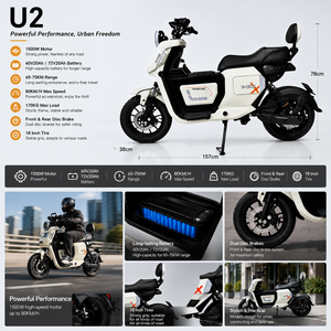 Bicicleta Eléctrica de Carretera de 1500W y 60V en Oferta, 6 Velocidades, Freno de Disco sin Escobillas en el Buje Trasero, Cuadro de Acero Electrónico, Batería de Plomo-Ácido - Product Image 3