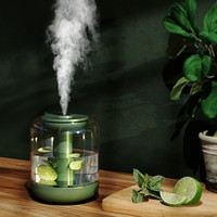 Citron Fruit Fleur Humidificateur Bureau Muet Grande Capacité Humidificateur Sans Fil Réapprovisionnement En Eau Mètre Chambre Humidificateur