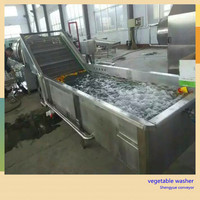 Machine polyvalente de nettoyage de légumes à bulles à haut rendement et laveuse de fruits pour usage industriel