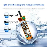 Control Remoto Inalámbrico Eléctrico a Prueba de Agua de Doble Velocidad para Grúa, DC AC 24V 36V 95V 220V 380V F24-12D/12S